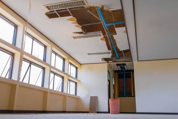 Best Water damage mitigation services  in Syracuse, UT