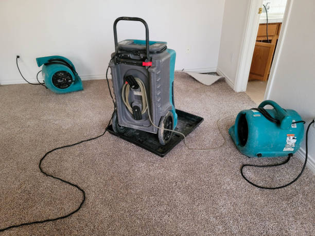 Best 24/7 water damage repair  in Syracuse, UT