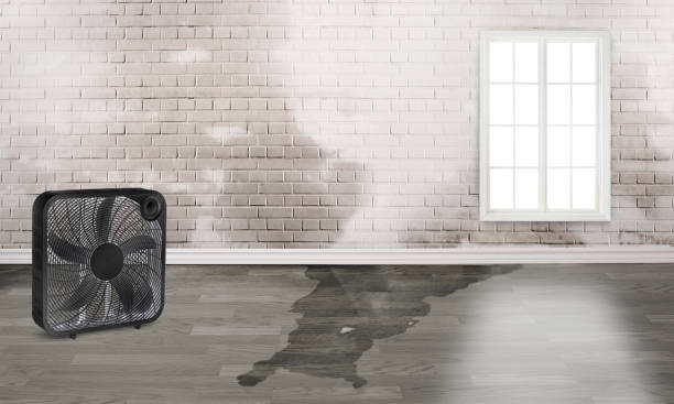 Best Flooded house restoration  in Syracuse, UT