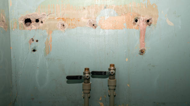 Best Ceiling water damage repair  in Syracuse, UT