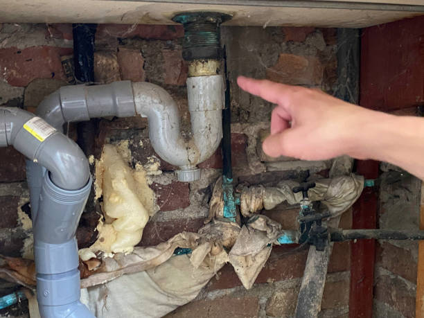 Best Flood damage cleanup  in Syracuse, UT