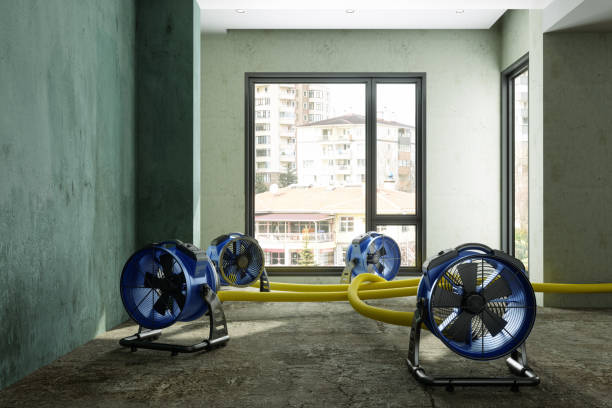 Best Mold removal after water damage  in Syracuse, UT