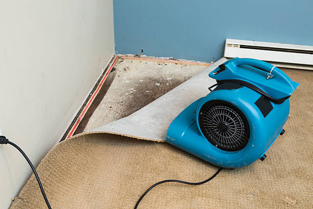 Best Water damage restoration near me  in Syracuse, UT